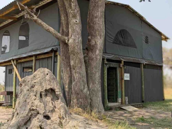 ArchIdea-Projects-TermiteMound-4