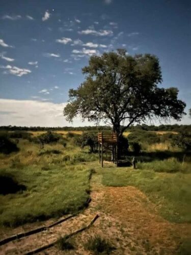 ArchIdea-Projects-TermiteMound-8